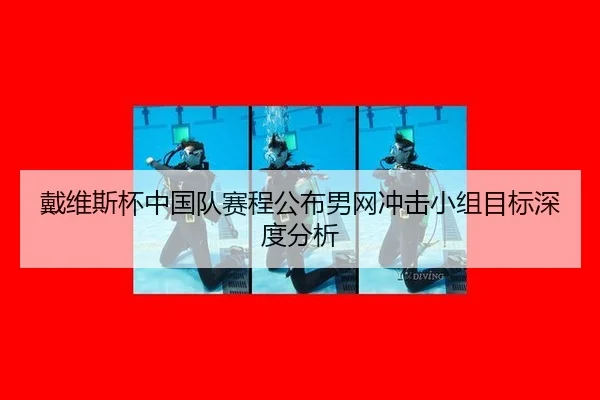 dai-wei-si-bei-zhong-guo-dui-sai-cheng-gong-bu-nan-wang-chong-ji-xiao-zu-mu-biao-shen-du-fen-xi-2-848.jpg